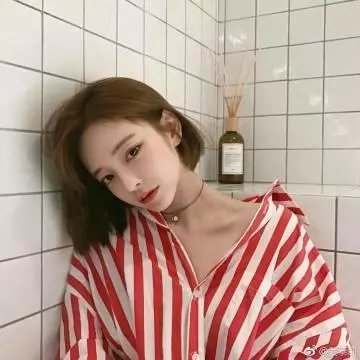 百合熊风暴